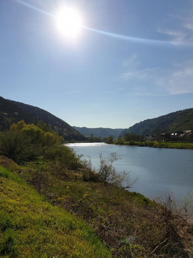 Residenz Moselzauber - Ferienwohnungen Mit Pool Landschaft Эрнст Экстерьер фото
